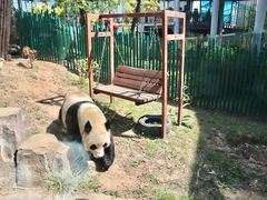 -大连森林动物园