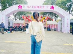 -南汇桃花村