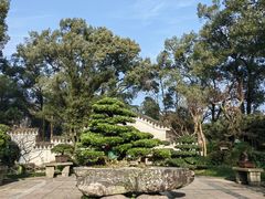 -南山植物园