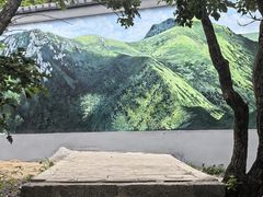 -牛背梁国家森林公园