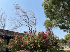 -石湖景区