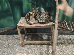 -齐齐哈尔龙沙动植物园