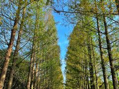 -良渚古城遗址公园