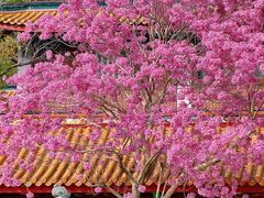 -天竺岩寺