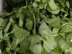 -菜老包(莘庄农贸市场店)