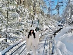 -峡谷浮石林景区