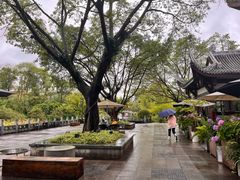 -北湖公园