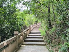 -杭州半山国家森林公园