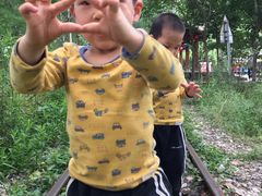 -合肥滨湖国家森林公园