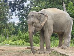 -清迈夜间动物园