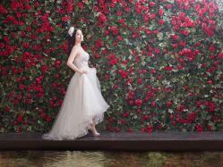 -艺匠摄影ARTIZ STUDIO(南京店)