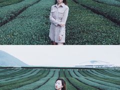 -雪绿茶博物馆