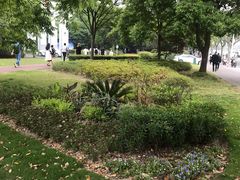 -陆家嘴金融服务广场