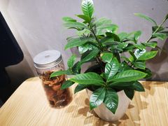 -素匠泰茶(三里屯SOHO工体奶茶店)