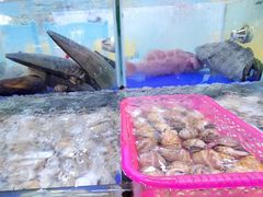 水产区-七鲜渔港美食餐厅(巽寮湾海景店)