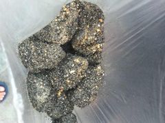 黑麻糍-叶氏麻糍(鼓浪屿店)