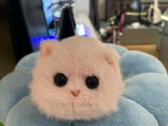 -鹰巢数码·EAGLE’S NEST(SKP店)