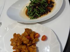 -四季春