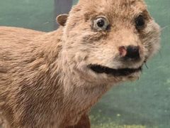 -下渚湖国家湿地公园科普馆