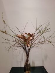 -无界瑜伽普拉提