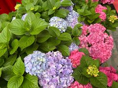 -黔蘑菇四季餐厅(观山湖店)