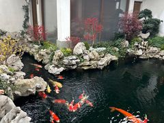 -鲤院·新中式美学·庭院餐厅(夫子庙店)