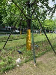 -杭州奥拉克医疗美容门诊部