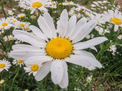 -汉长安城未央宫国家考古遗址公园