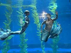-南昌融创海世界