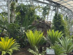 -北京植物园-展览温室