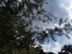 -广州市白云山风景名胜区