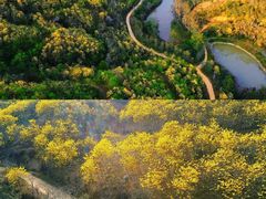 -广州白江湖森林公园