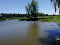 -白渔泡湿地公园