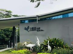 -福田红树林生态公园