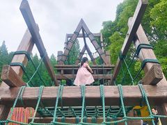 -东平国家森林公园