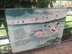 -九龙公园