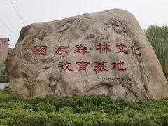 -原山国家森林公园