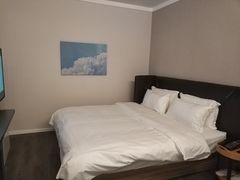 -汉庭(合肥火车南站北广场店)