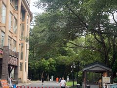 -南宁南湖公园