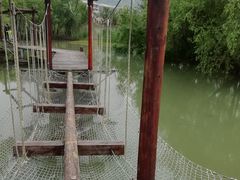-长兴太湖图影湿地文化园