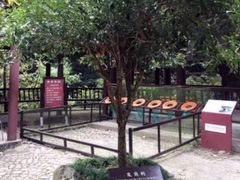 -太湖源风景区