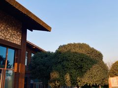 -宁波杭州湾国家湿地公园