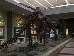 -敦煌莫高国际机场