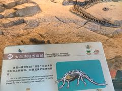 -自贡恐龙博物馆