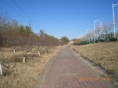 -白水寺森林公园
