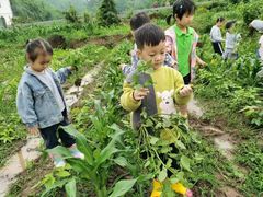 -宾果蒙特梭利托育儿童之家幼儿园(爱琴海店)