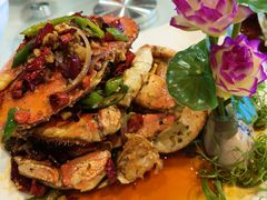 -三亚火车头万人海鲜广场