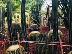 -呀路古热带植物园