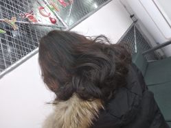-YDO SALON