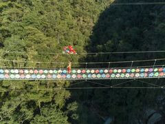 -九龙江国家森林公园